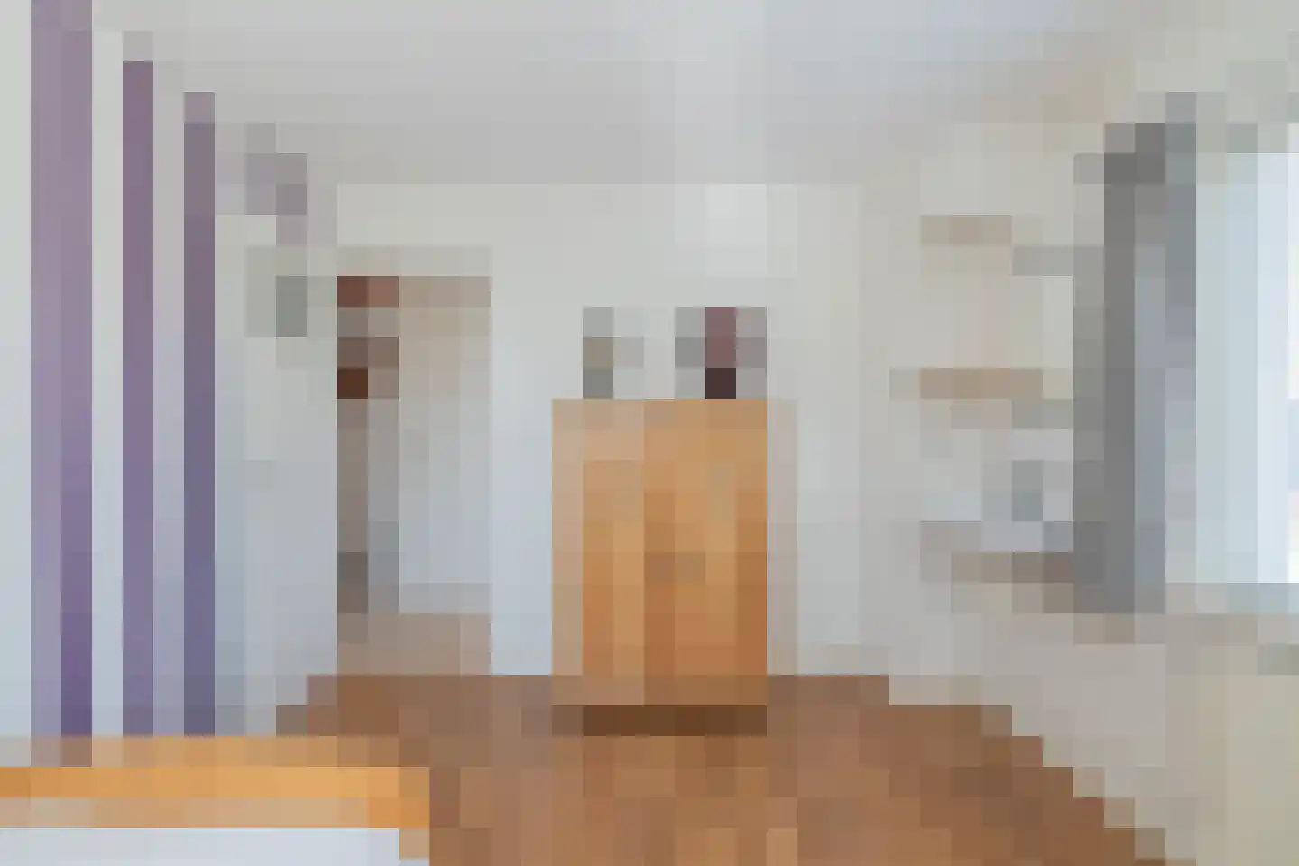 Ruigenhoek 3 De Zilk thumbnail 38