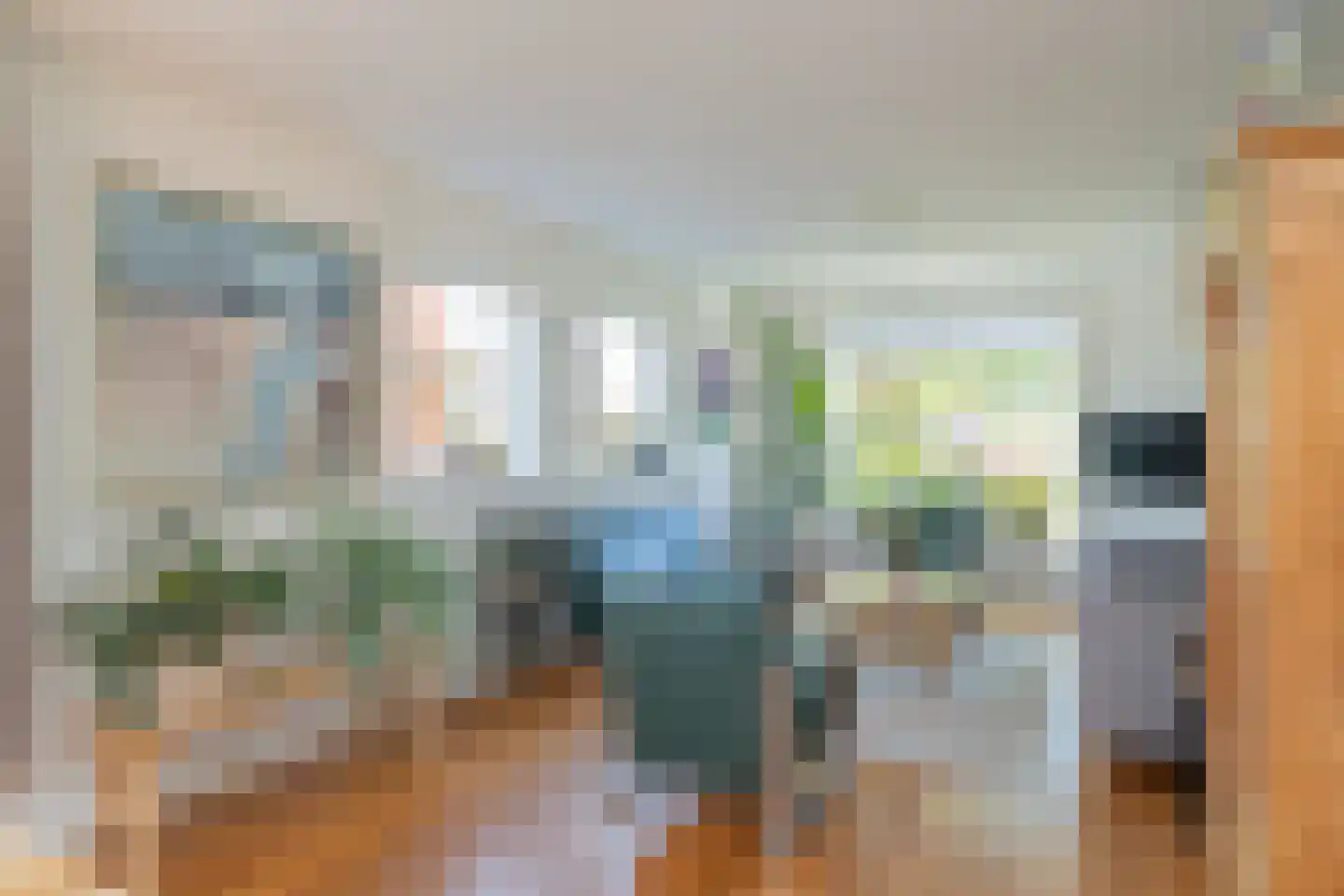 Ruigenhoek 3 De Zilk thumbnail 4