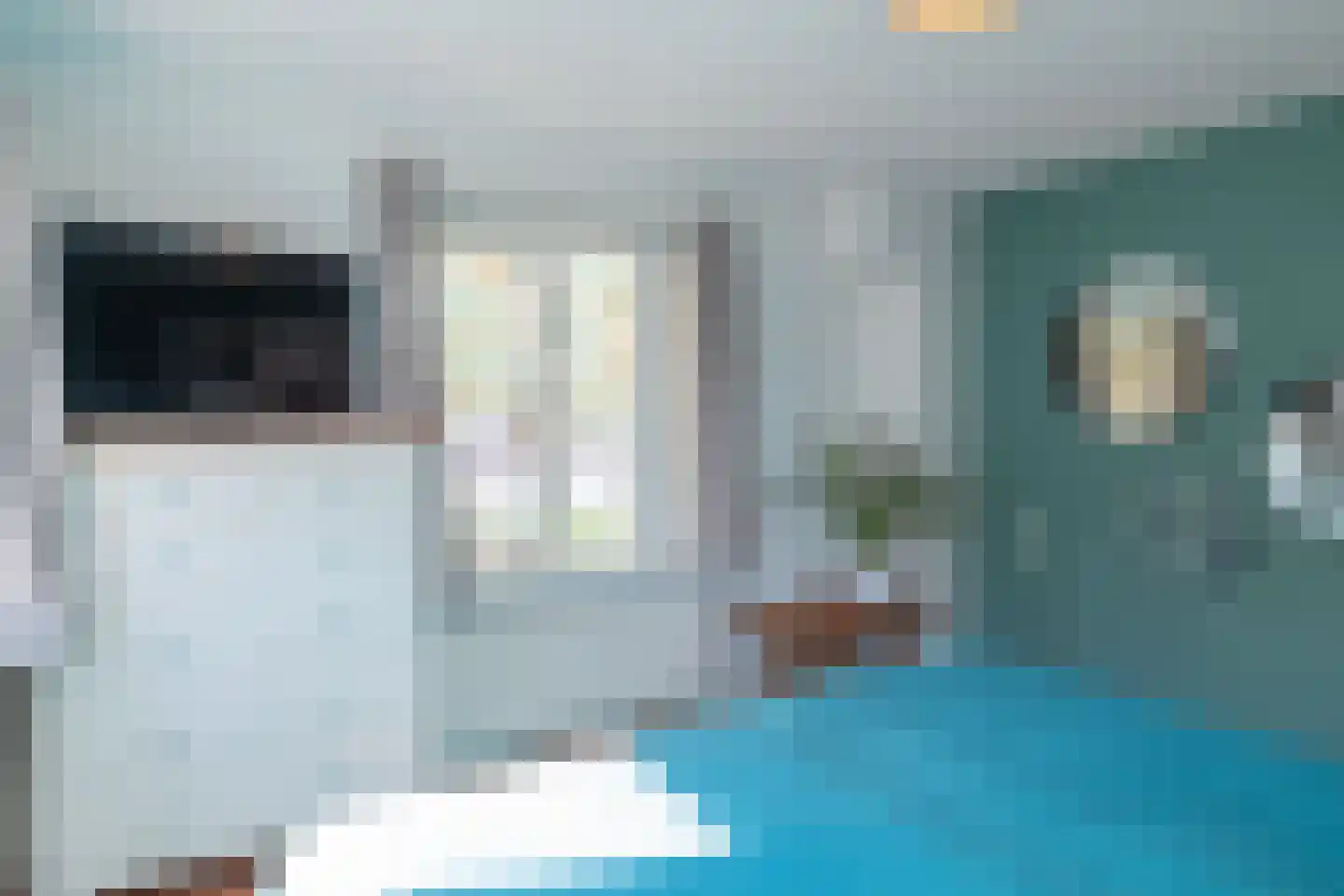 Ruigenhoek 3 De Zilk thumbnail 46