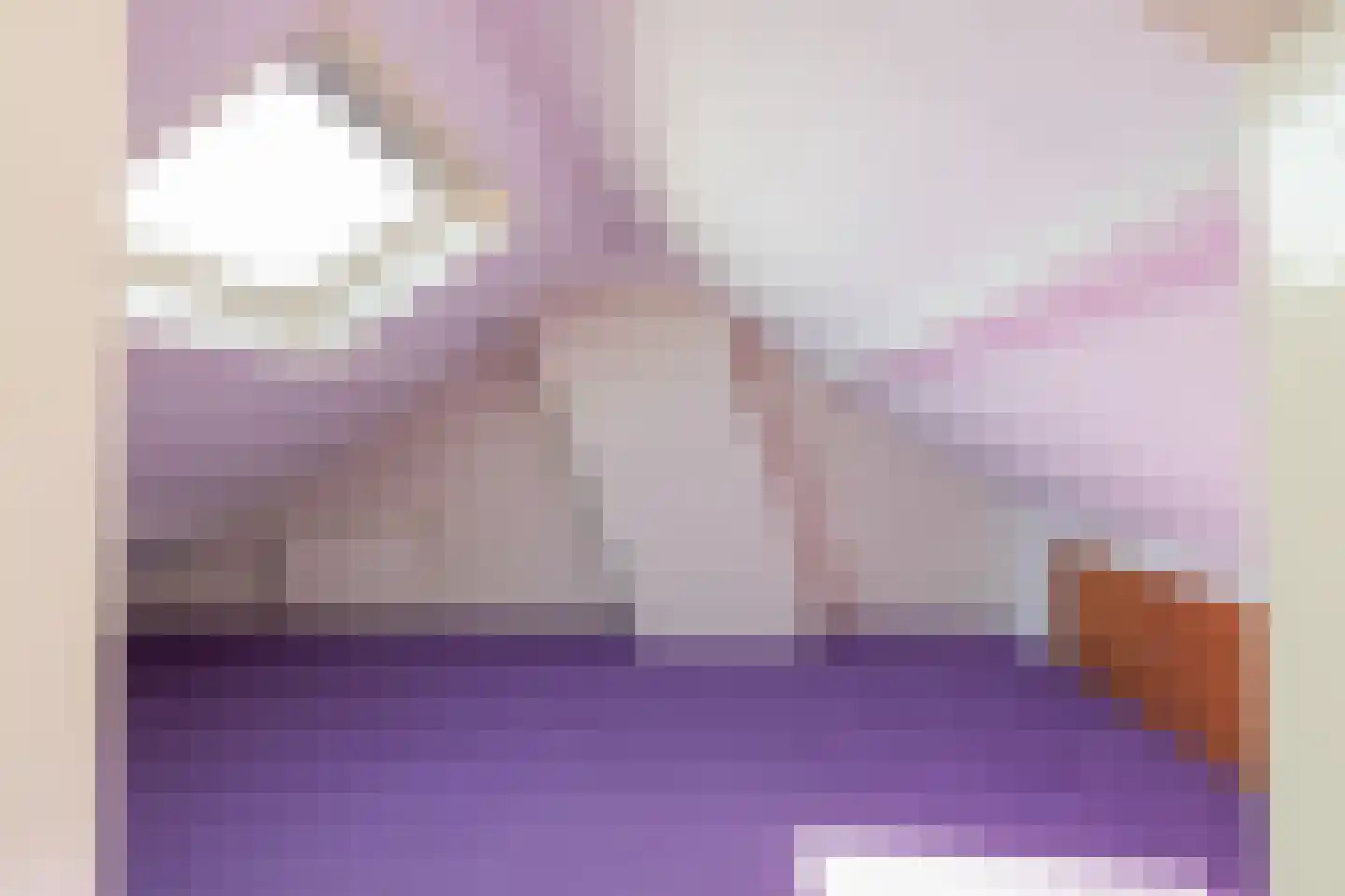 Ruigenhoek 3 De Zilk thumbnail 48