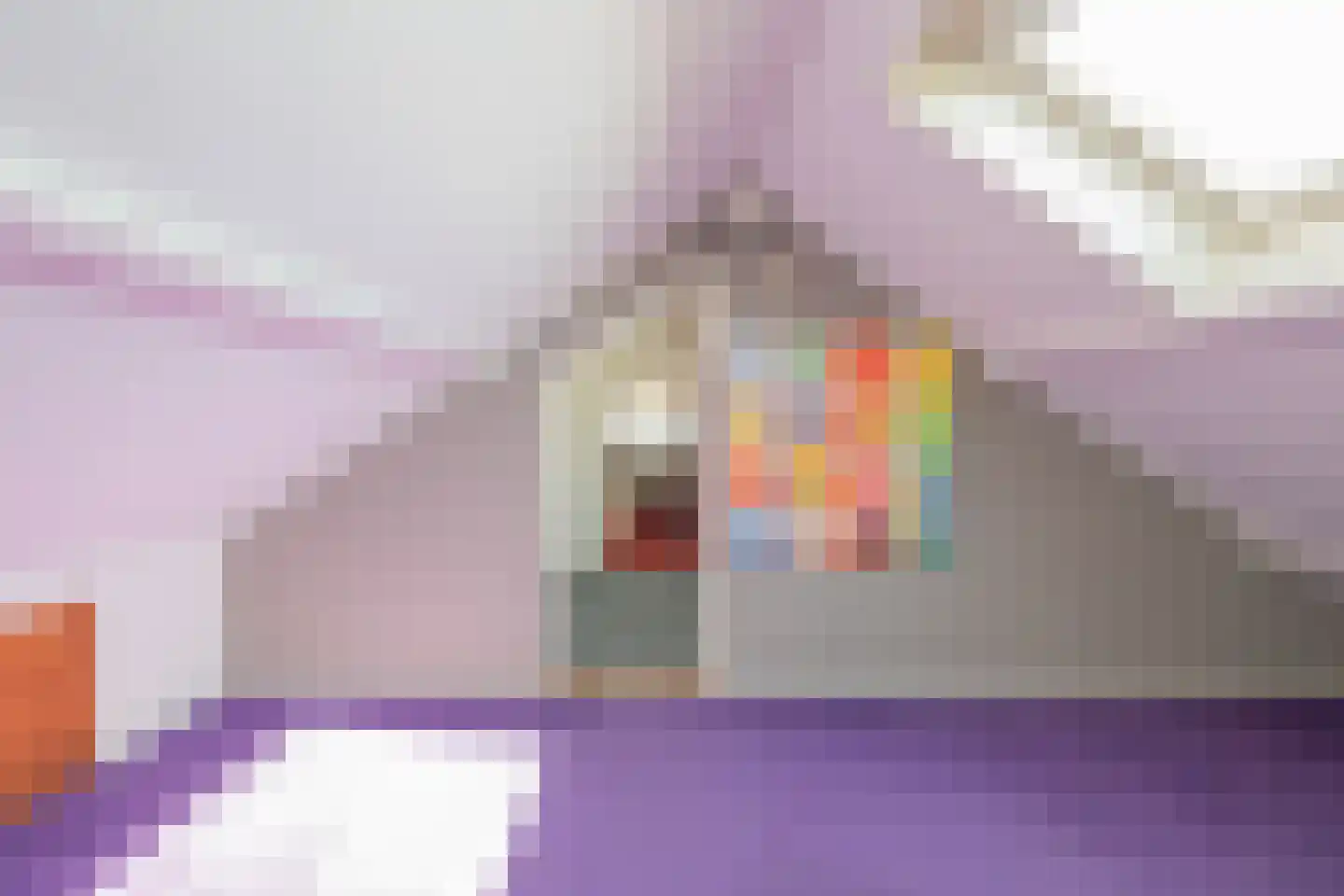 Ruigenhoek 3 De Zilk thumbnail 49
