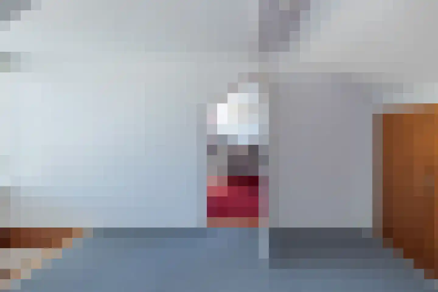 Ruigenhoek 3 De Zilk thumbnail 50