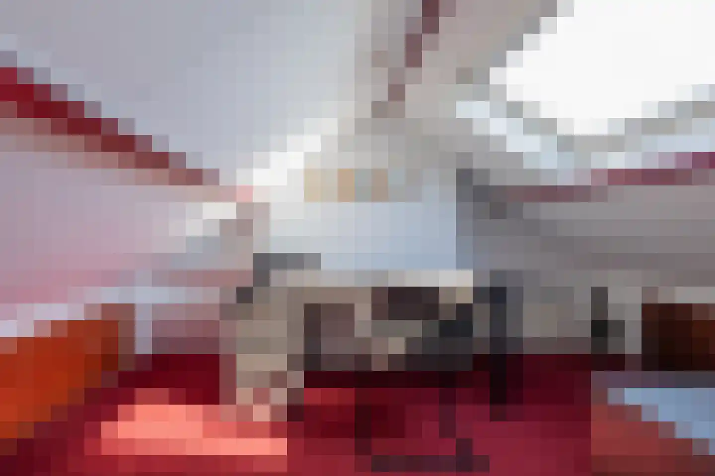 Ruigenhoek 3 De Zilk thumbnail 51