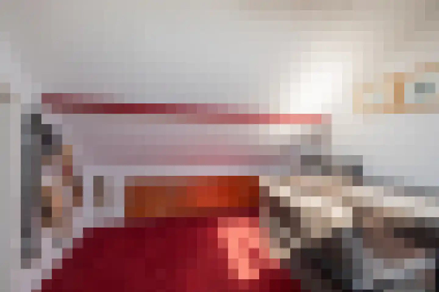 Ruigenhoek 3 De Zilk thumbnail 52
