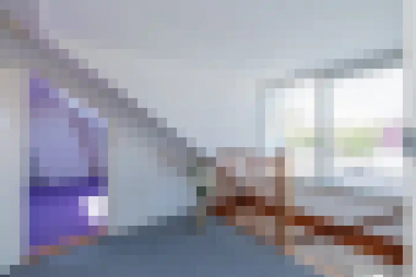 Ruigenhoek 3 De Zilk thumbnail 53