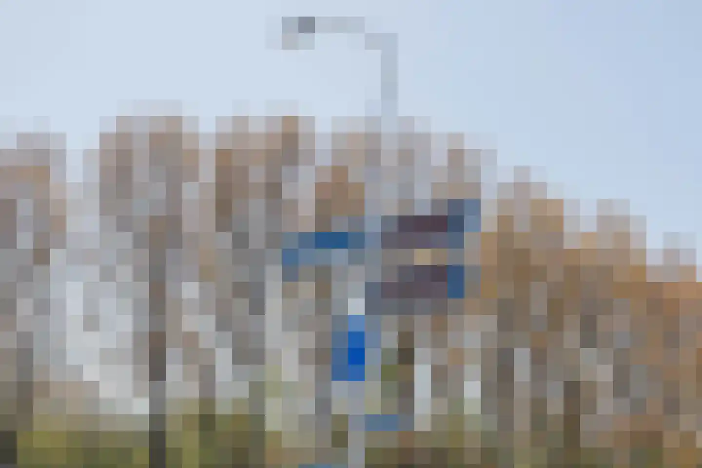 Ruigenhoek 3 De Zilk thumbnail 58