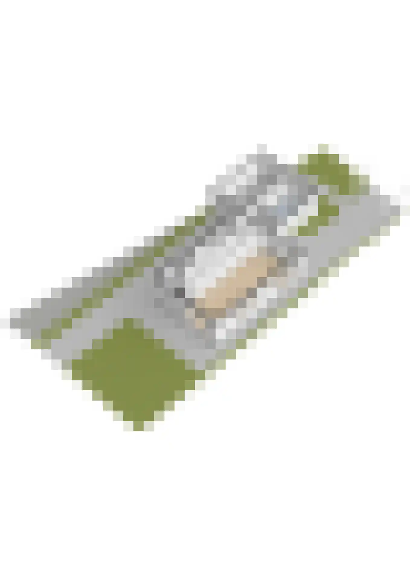 Ruigenhoek 3 De Zilk thumbnail 66