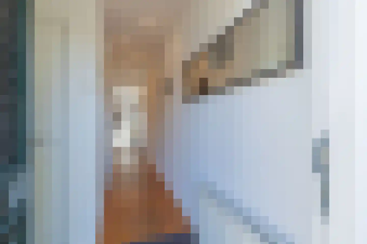 Ruigenhoek 3 De Zilk thumbnail 8