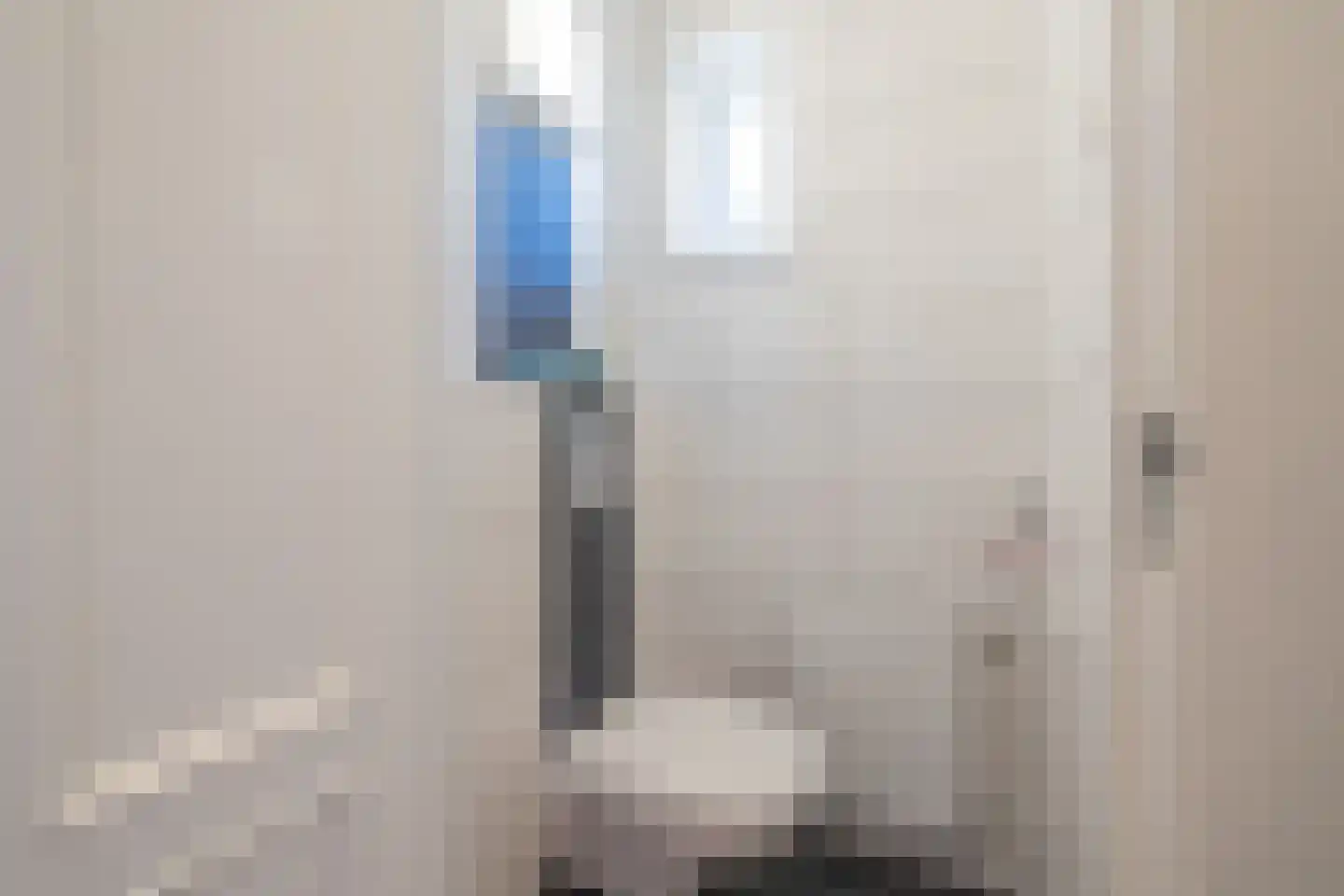 Ruigenhoek 3 De Zilk thumbnail 9