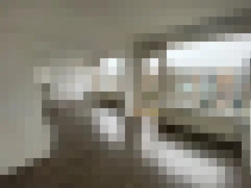 Ruigenhoek 30 Rotterdam thumbnail 5