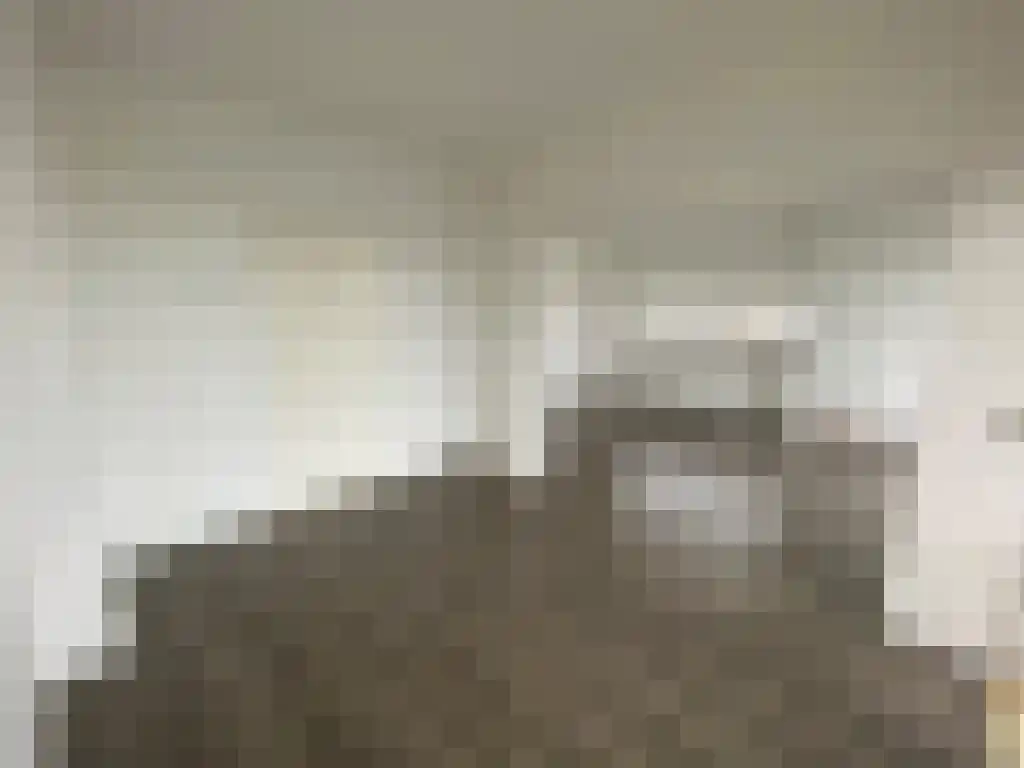 Ruigenhoek 30 Rotterdam thumbnail 6