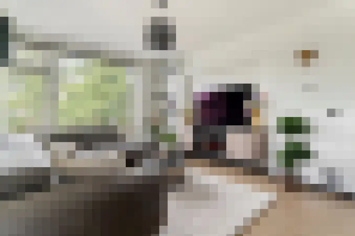 Ruigenhoek 65 Rotterdam thumbnail 12