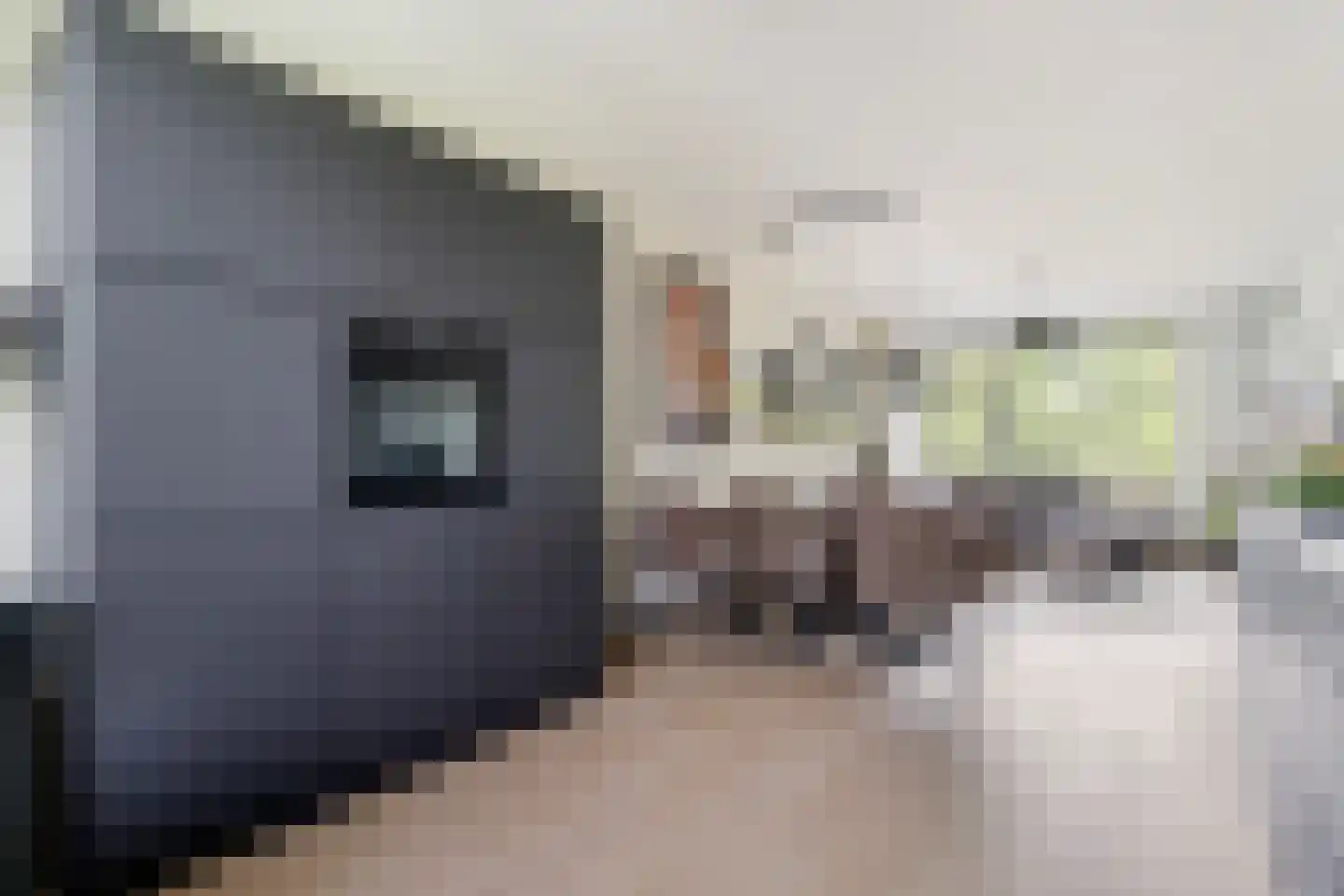 Ruigenhoek 65 Rotterdam thumbnail 16