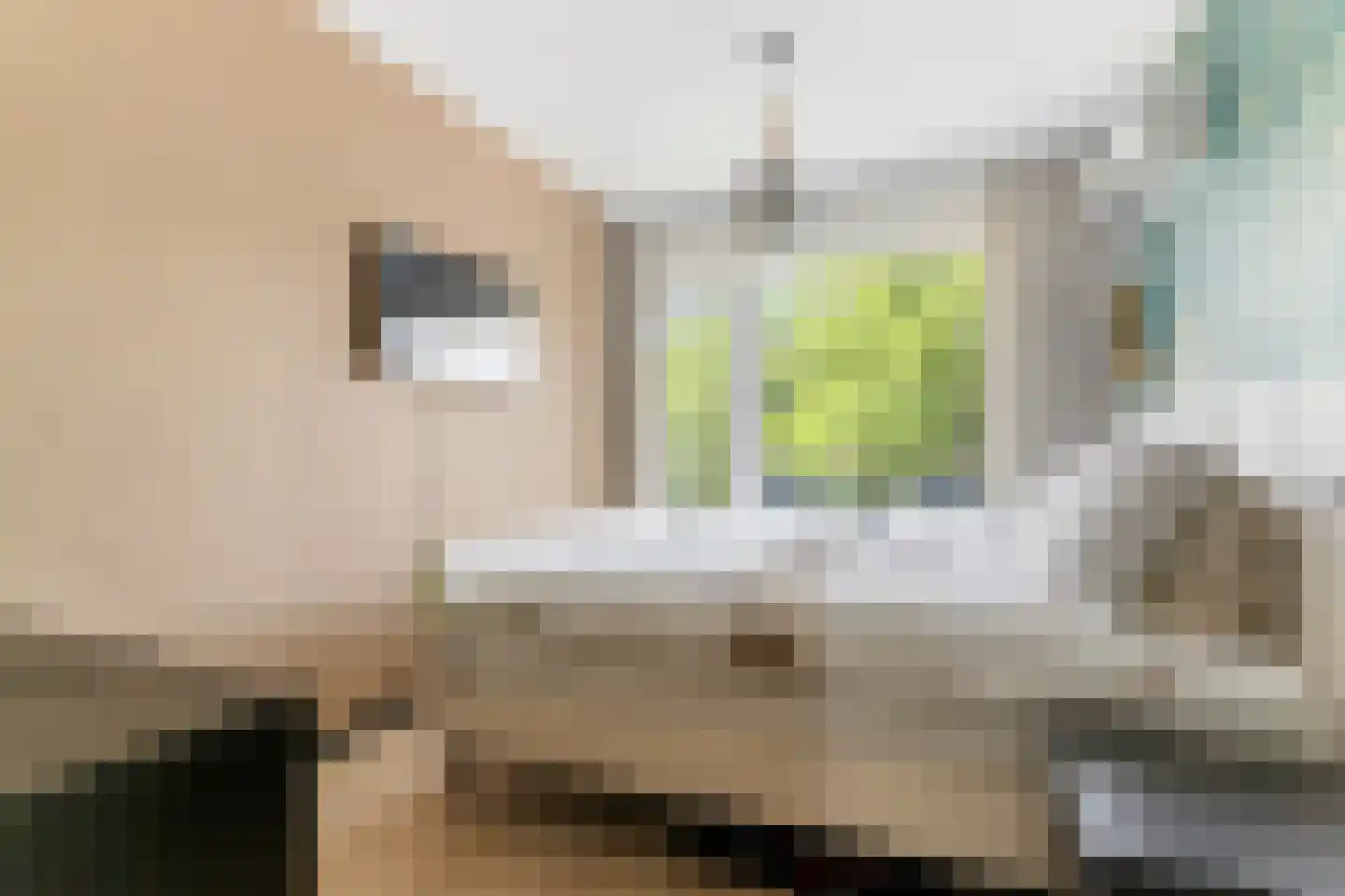 Ruigenhoek 65 Rotterdam thumbnail 18