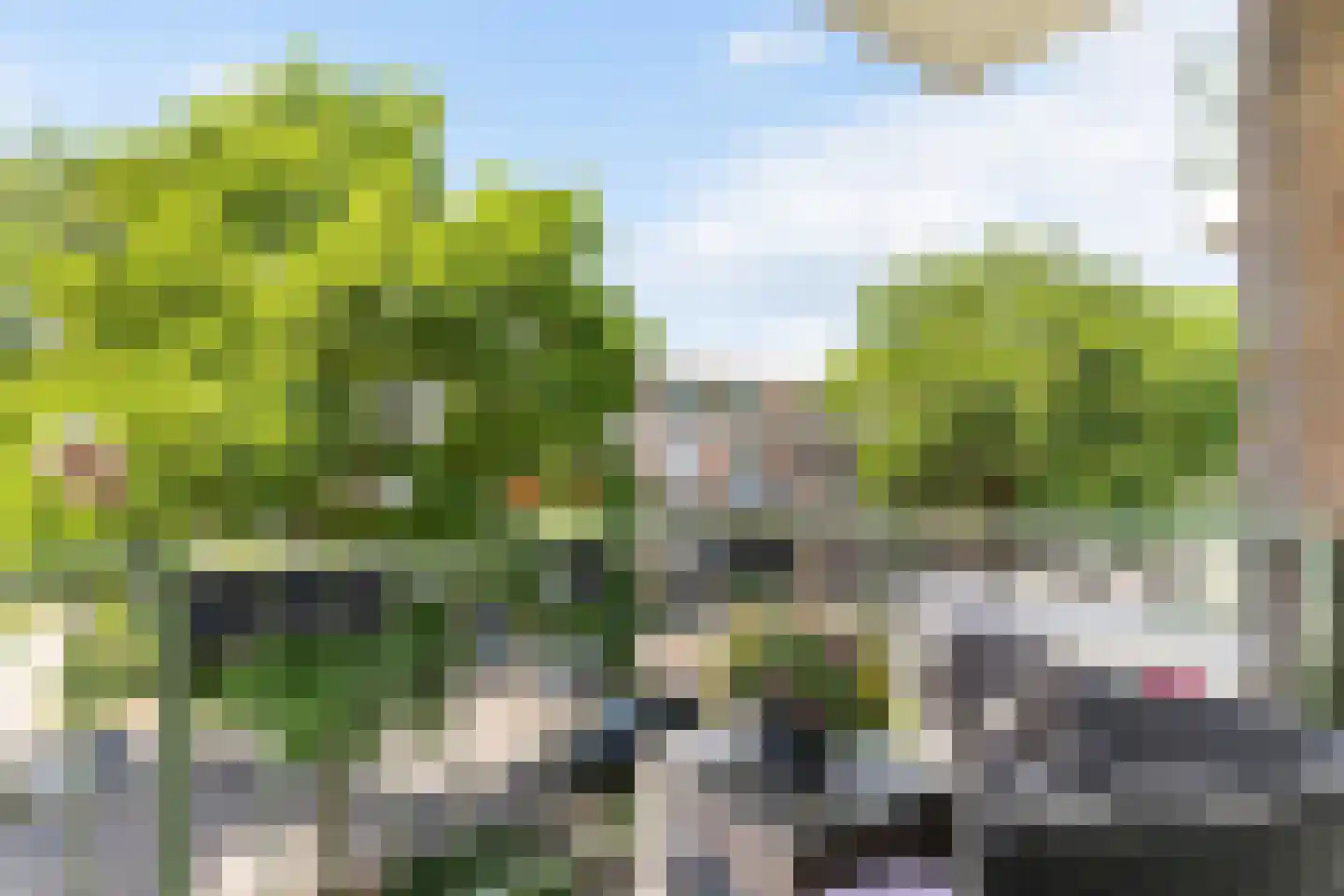 Ruigenhoek 65 Rotterdam thumbnail 21