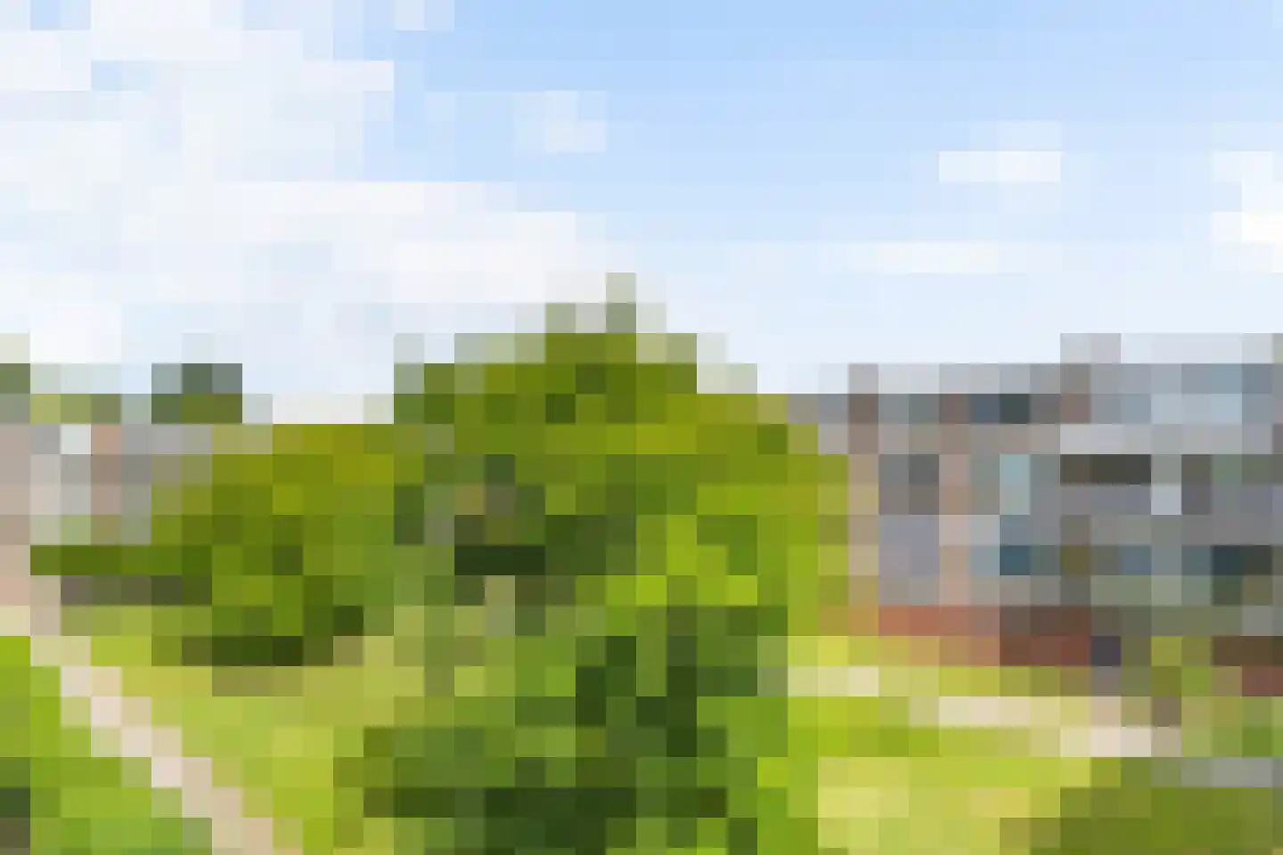 Ruigenhoek 65 Rotterdam thumbnail 30