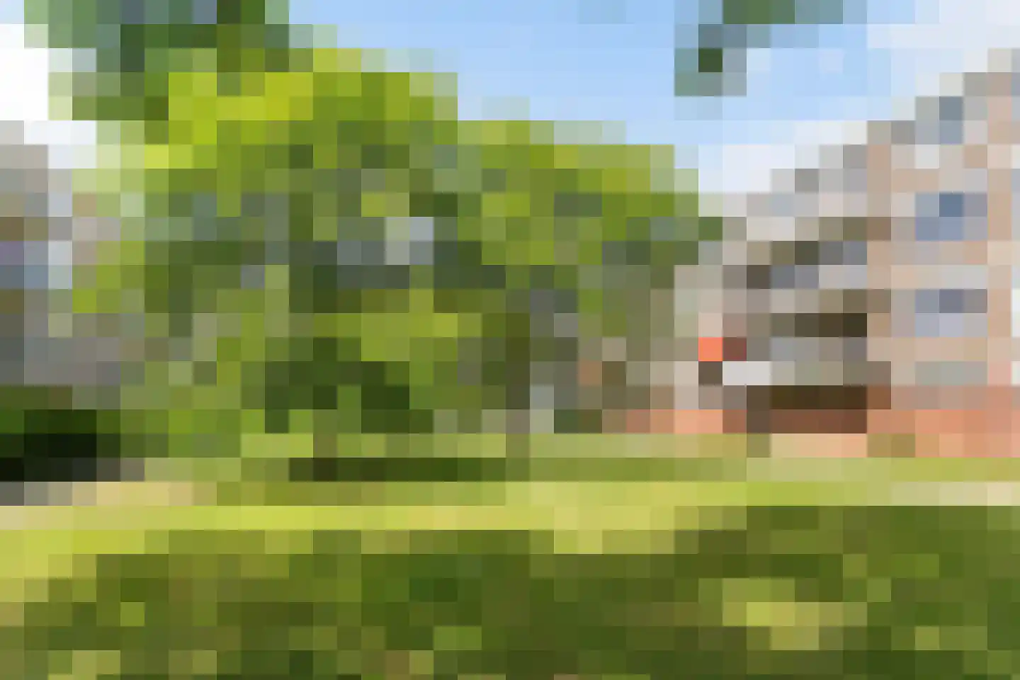 Ruigenhoek 65 Rotterdam thumbnail 34