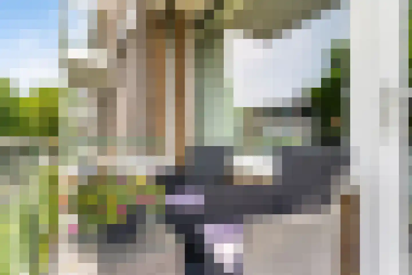 Ruigenhoek 65 Rotterdam thumbnail 4