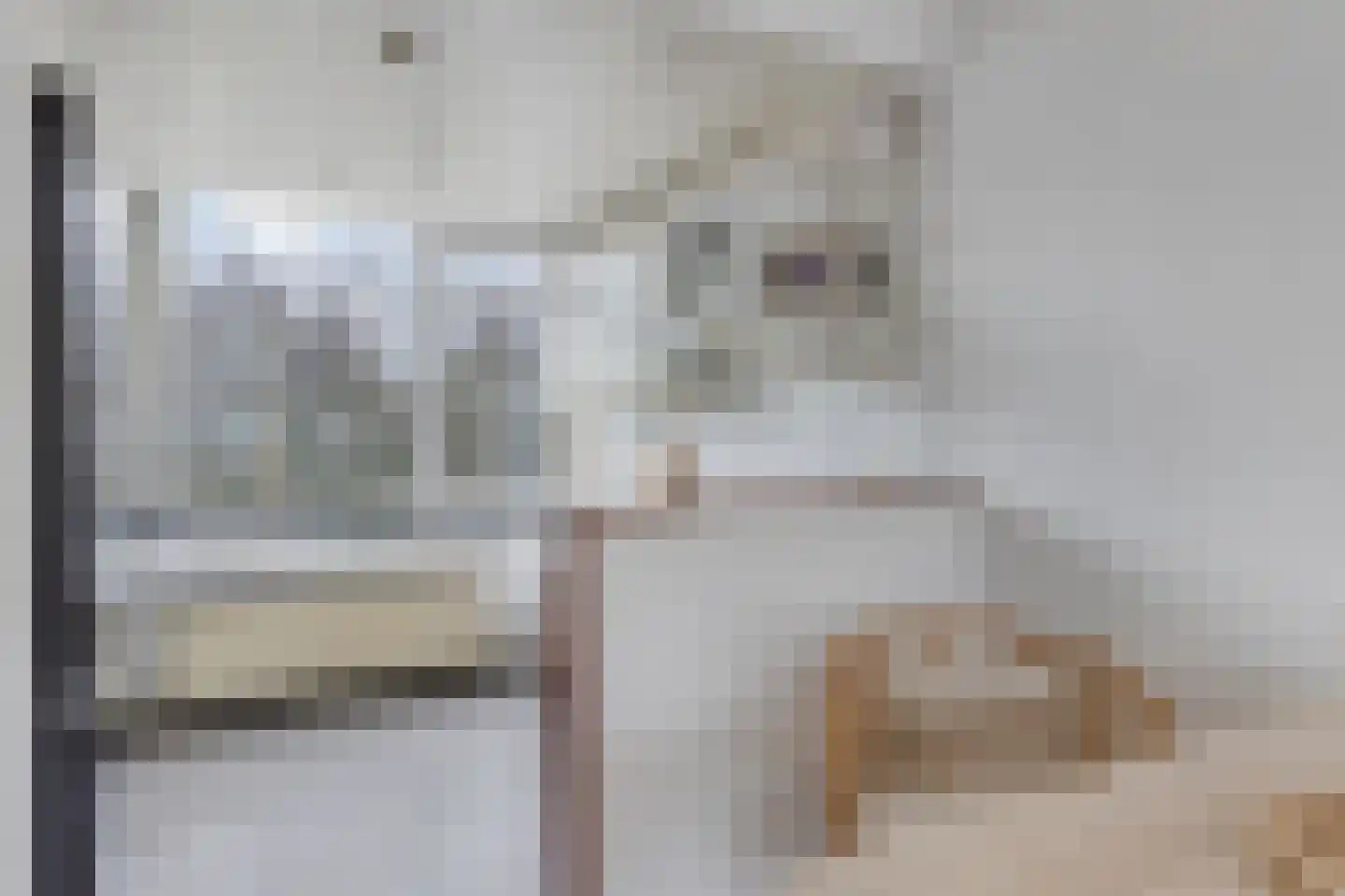 Ruigenhoek 7 Rotterdam thumbnail 14