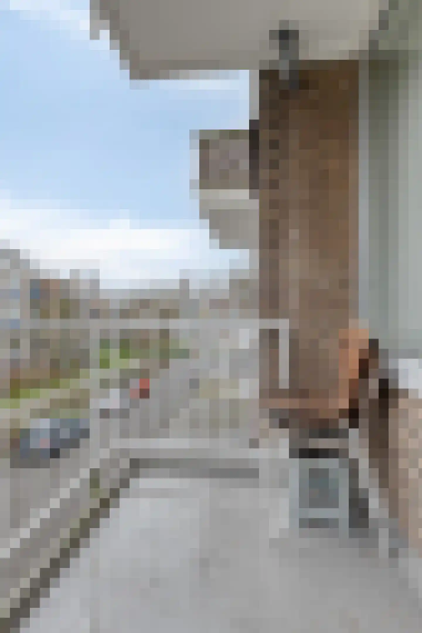 Ruigenhoek 7 Rotterdam thumbnail 19