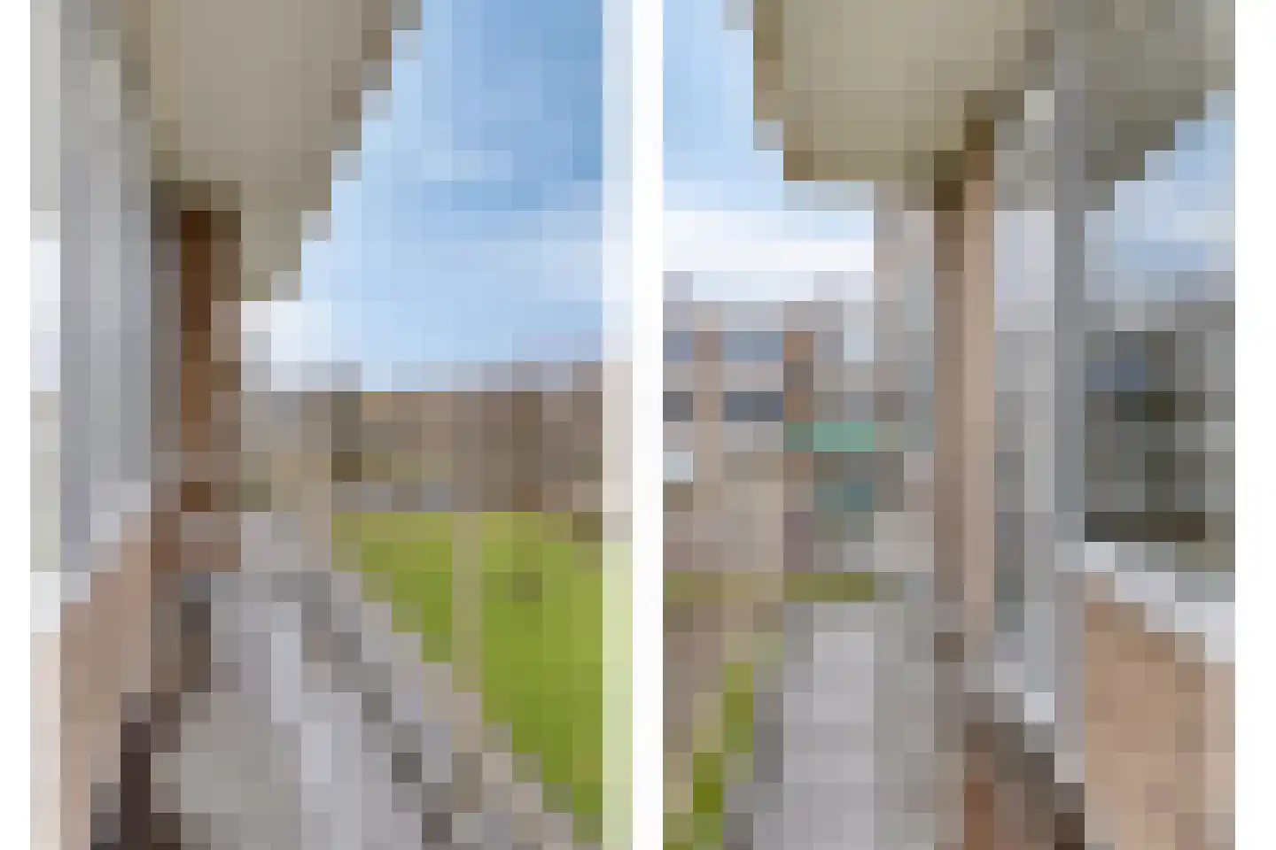Ruigenhoek 7 Rotterdam thumbnail 8