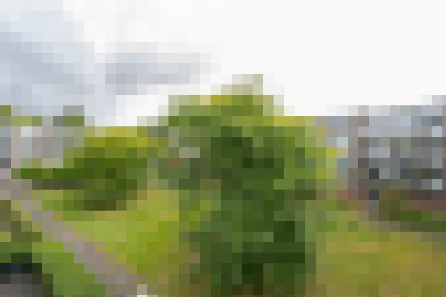 Ruigenhoek 71 Rotterdam thumbnail 14