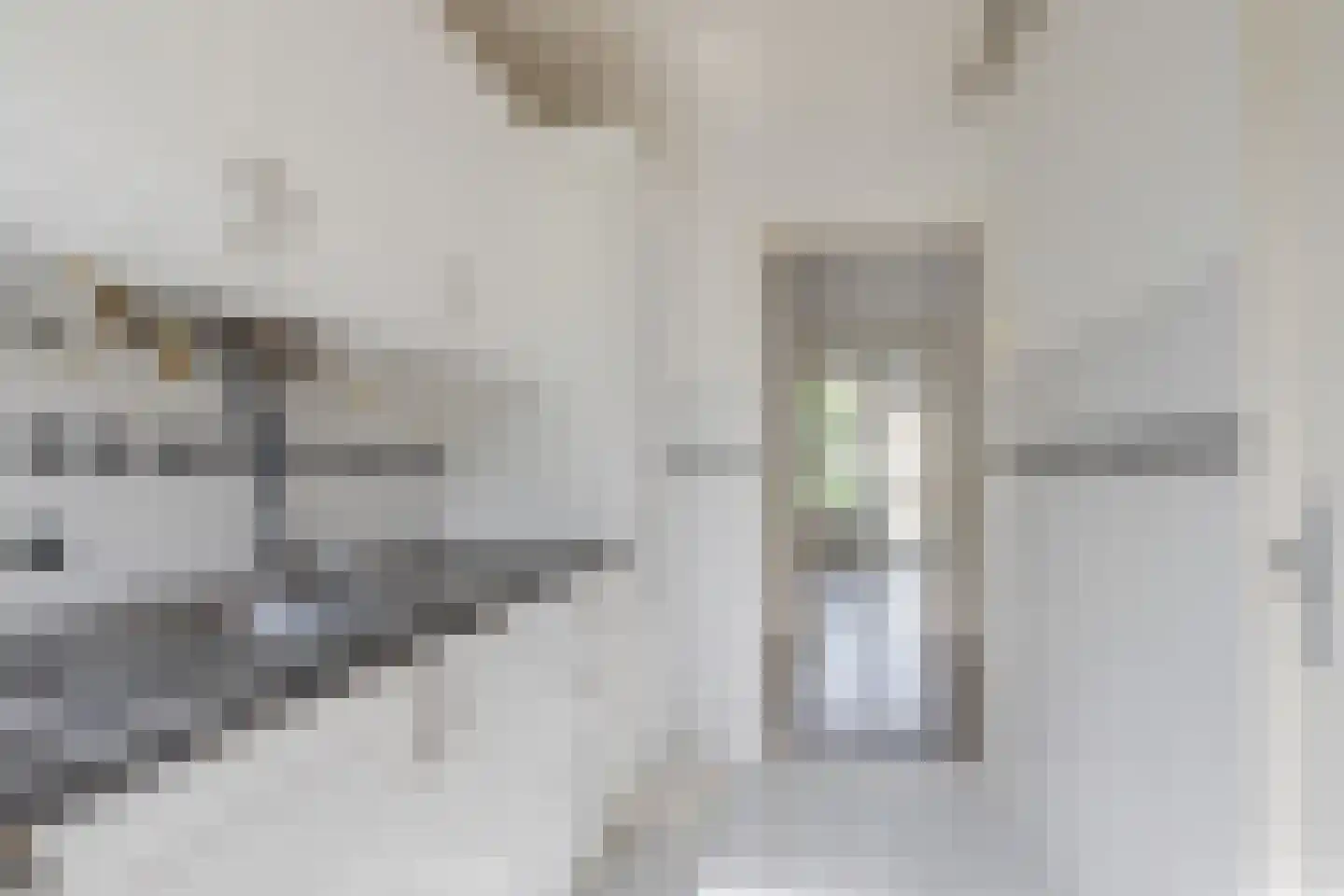Ruigenhoek 71 Rotterdam thumbnail 15