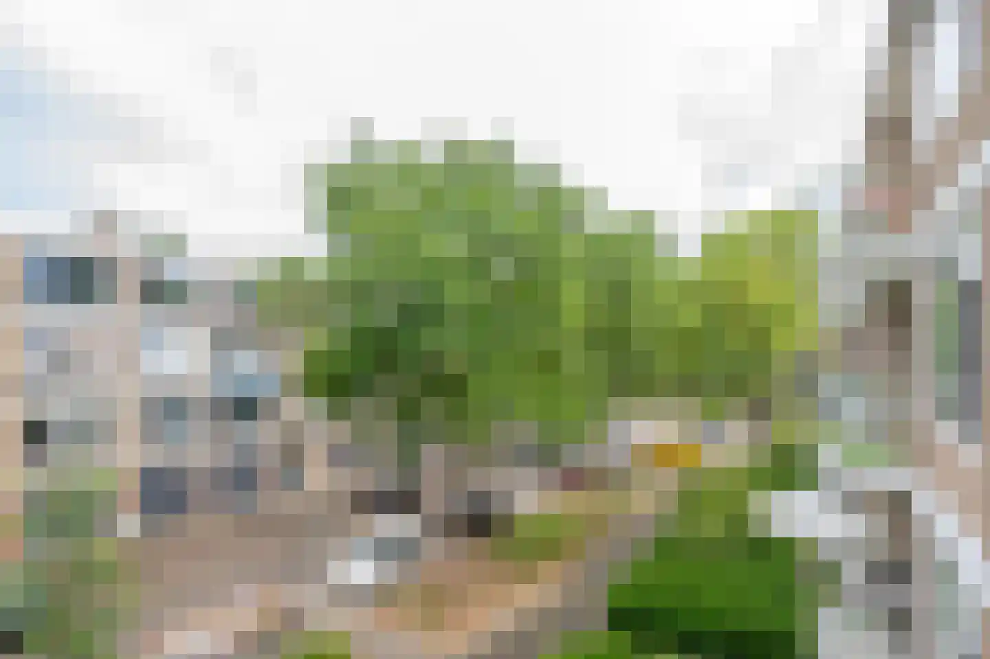 Ruigenhoek 71 Rotterdam thumbnail 18