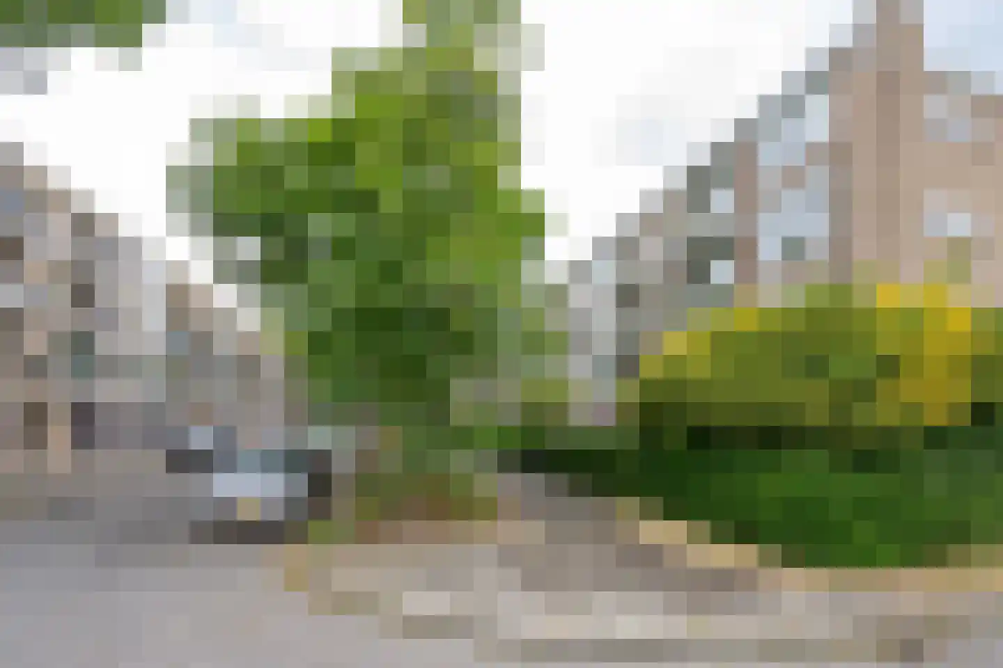Ruigenhoek 71 Rotterdam thumbnail 23