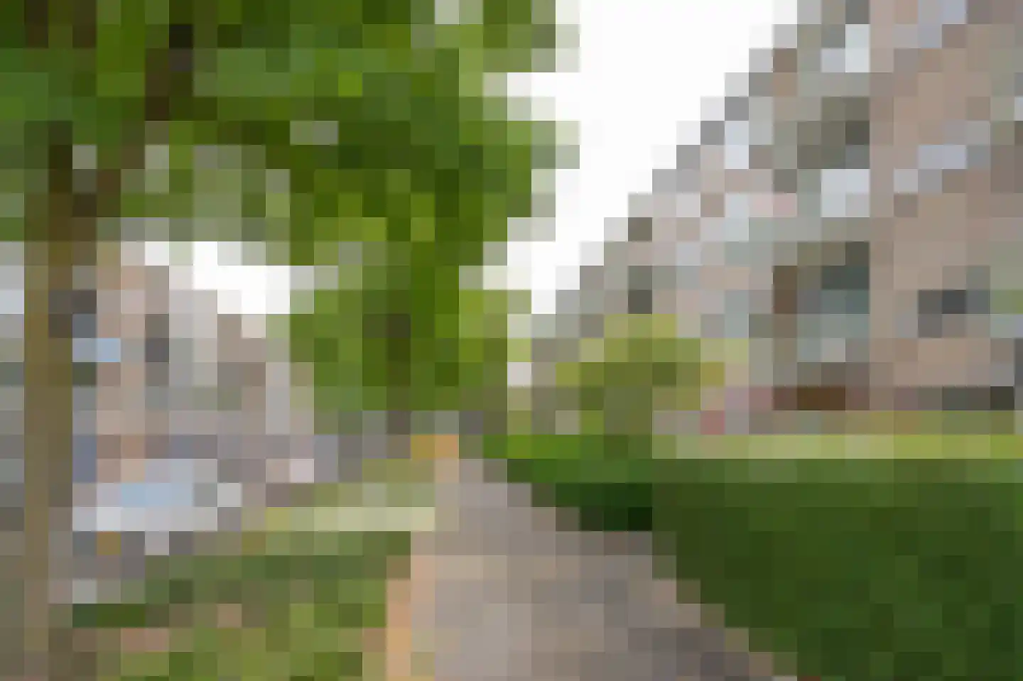 Ruigenhoek 71 Rotterdam thumbnail 24