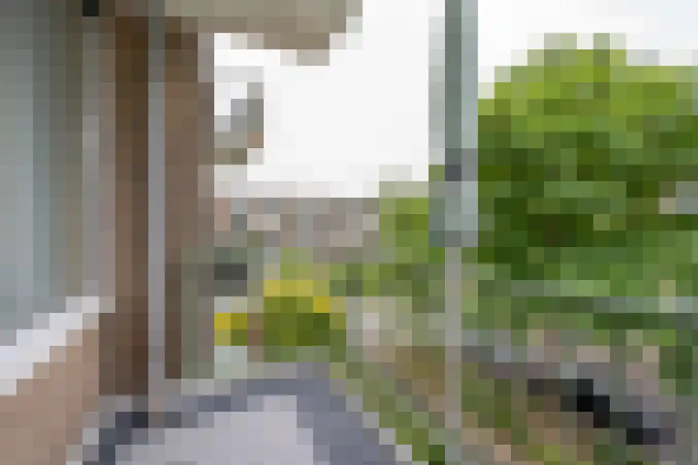 Ruigenhoek 71 Rotterdam thumbnail 5