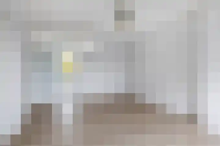 Ruigenhoek 79 Rotterdam thumbnail 14
