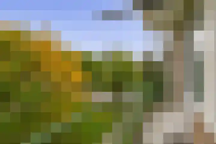Ruigenhoek 79 Rotterdam thumbnail 16