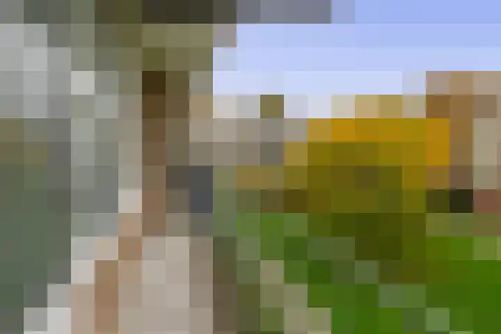 Ruigenhoek 79 Rotterdam thumbnail 17