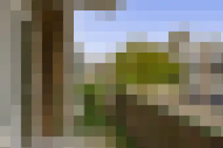 Ruigenhoek 79 Rotterdam thumbnail 18