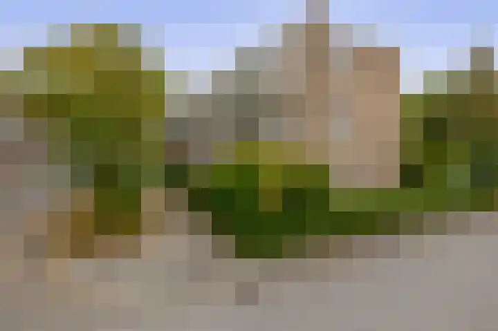 Ruigenhoek 79 Rotterdam thumbnail 27