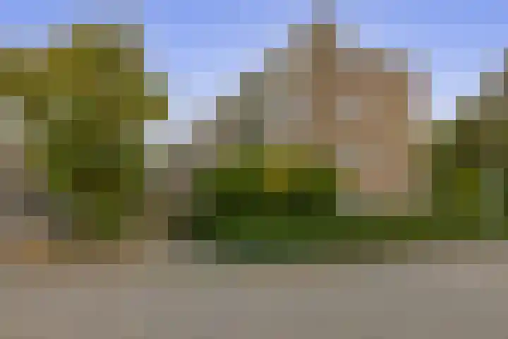 Ruigenhoek 79 Rotterdam thumbnail 28