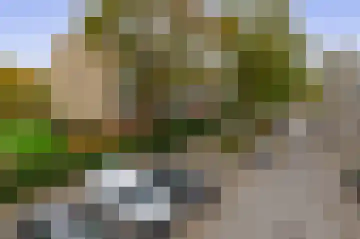 Ruigenhoek 79 Rotterdam thumbnail 30