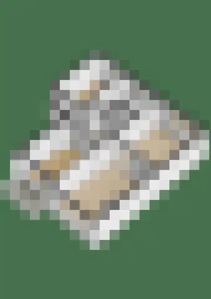 Ruigenhoek 79 Rotterdam thumbnail 32