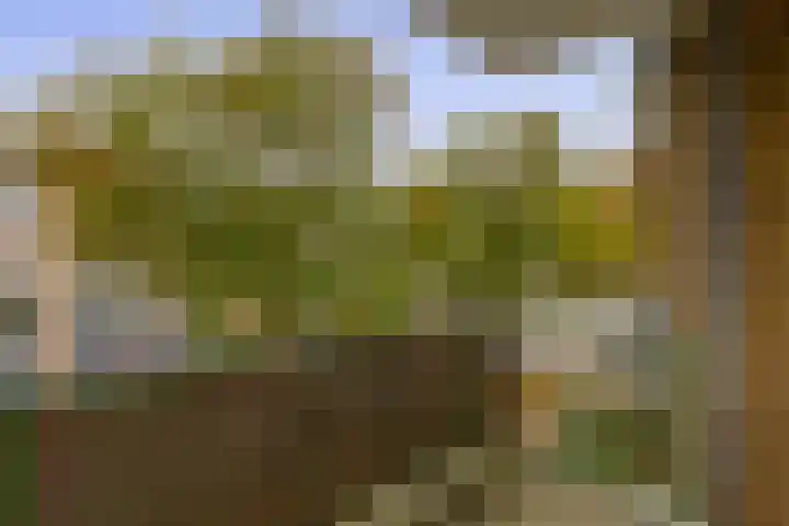 Ruigenhoek 79 Rotterdam thumbnail 4