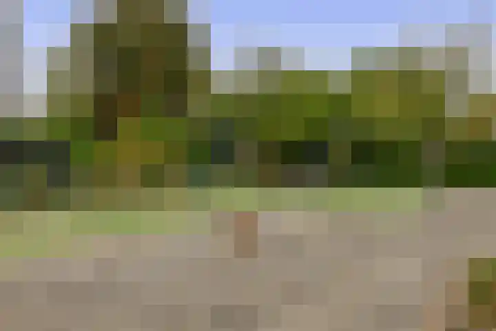 Ruigenhoek 79 Rotterdam thumbnail 5