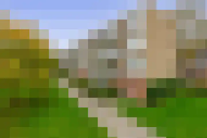 Ruigenhoek 79 Rotterdam thumbnail 6