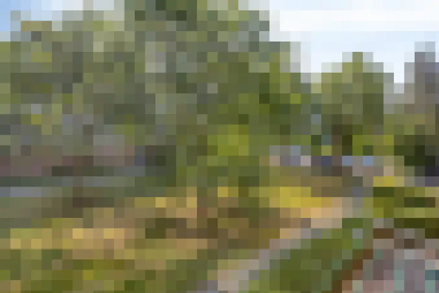 Ruigenhoek 83 Rotterdam thumbnail 14