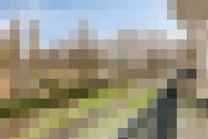 Ruigenhoek 94 Rotterdam thumbnail 18