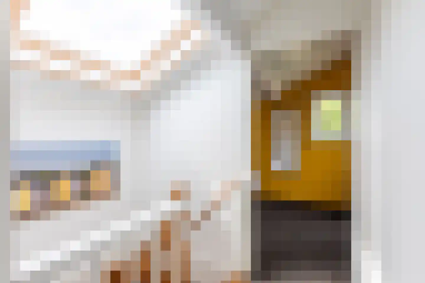 Ruigenhoekerweg 5 M21 Noordwijkerhout thumbnail 13