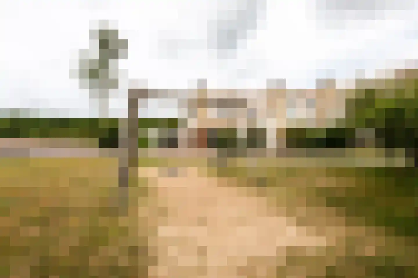 Ruigenhoekerweg 5 M21 Noordwijkerhout thumbnail 21