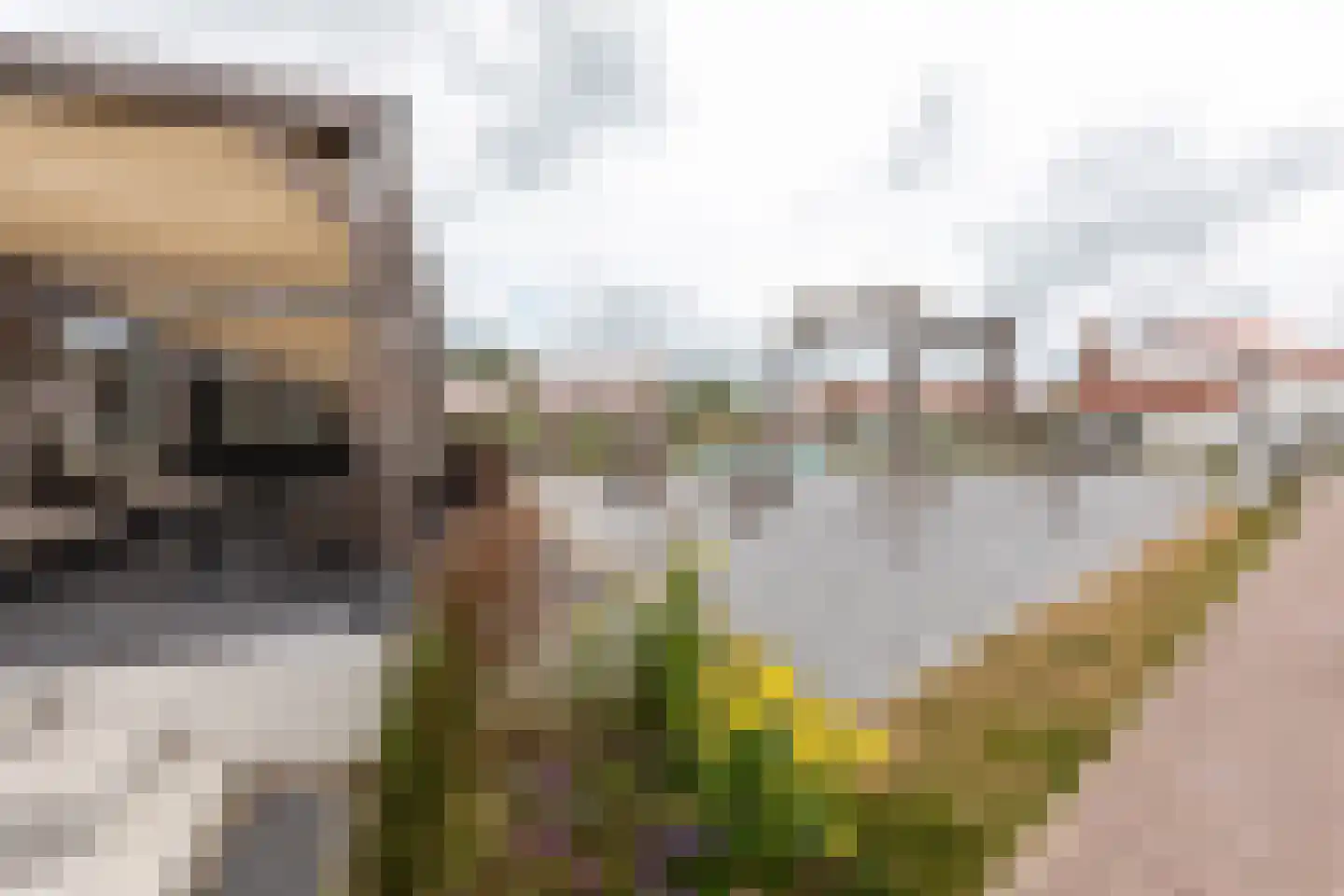 Ruigenhoekerweg 5 M21 Noordwijkerhout thumbnail 26