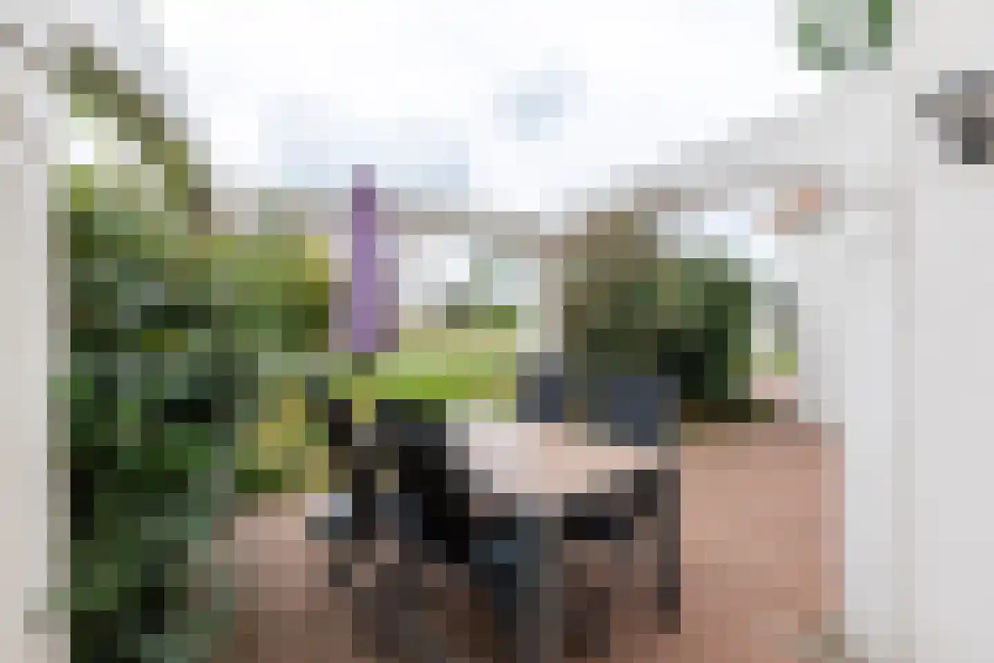Ruigenhoekerweg 5 M21 Noordwijkerhout thumbnail 5