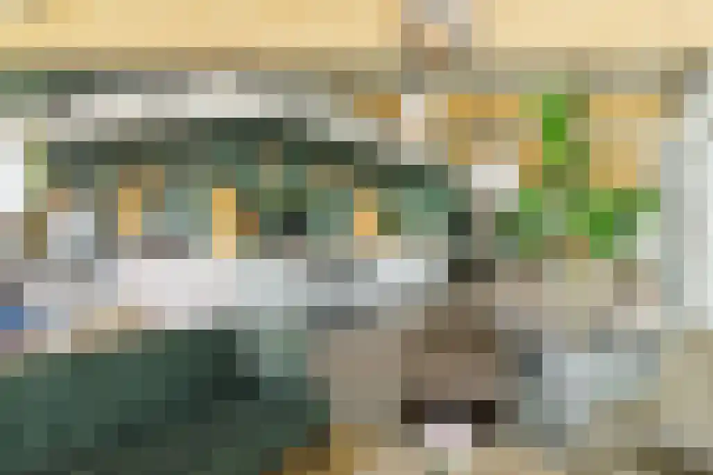 Ruigenhoekerweg 5 M24 Noordwijkerhout thumbnail 27