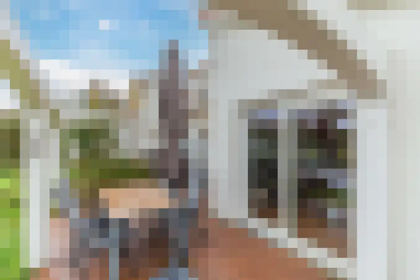 Ruigenhoekerweg 5 M24 Noordwijkerhout thumbnail 37